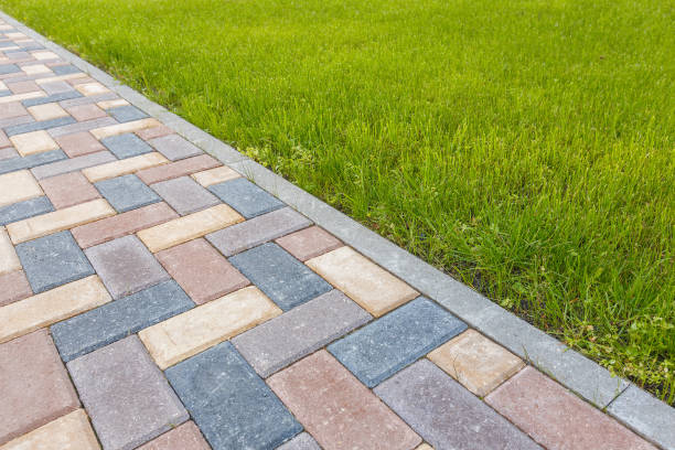 Best Local Driveway Pavers  in Edcouch, TX